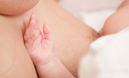 Breastfeeding of a newborn baby  Can be used in any breastfeeding article or product package 