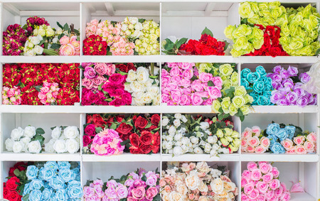 Flower collectionの写真素材