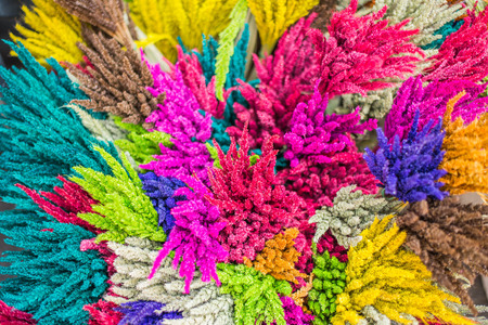 the color of rice strawの写真素材