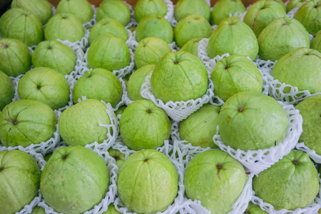 background of Guava in groupの写真素材