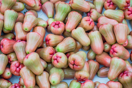 Rose applesの写真素材