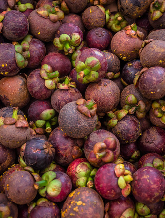 Mangosteenの写真素材