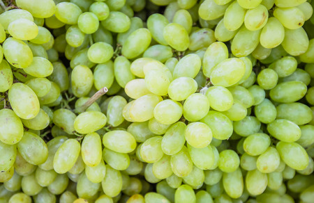 white grapesの写真素材