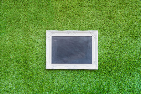 picture frame on green background