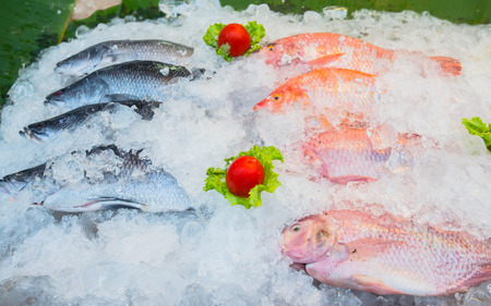 Fresh seafood photographed in fish marketの写真素材