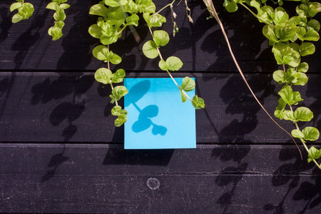 blue piece of paper on a wooden fenceの写真素材