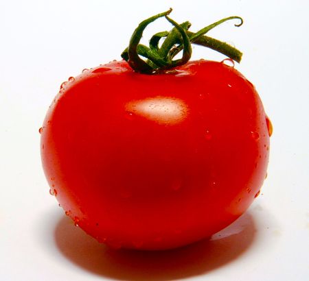 large tomatoの写真素材