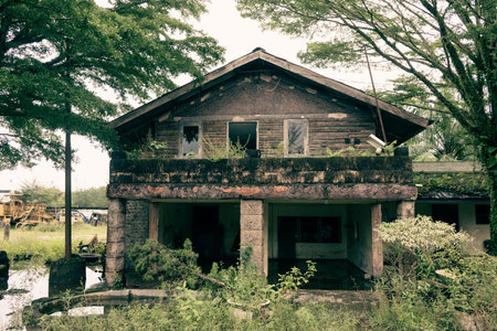 Front view of an abandoned old style wooden house, with some plants growing around itの写真素材