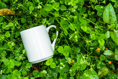 Coffee mug laying out on the top of a lot green small plants, coffee mug mockup imageの写真素材