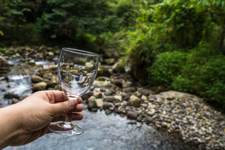 The natural scenery creates a truly breathtaking scene in our wine glass mockup images