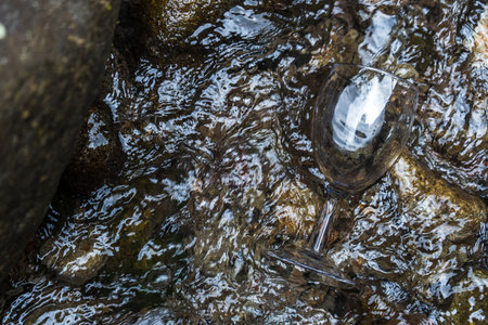 The beauty of nature is showcased in our elegant wine glass mockup images, featuring a transparent blank wine glass set against stunning nature sceneryの写真素材