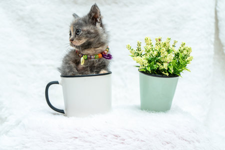 Get ready for a heartwarming image as this small kitten's playful spirit shines through while partially inside a white blank mug and a small flower vase beside it, white blank mug mockup imageの写真素材