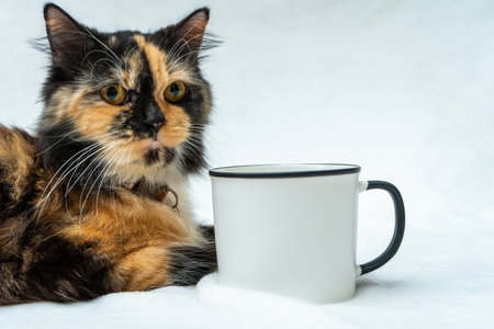 This heartwarming image showcases a cute cat in a peaceful relaxation, resting near a white blank mug, white blank mug mockup imageの写真素材