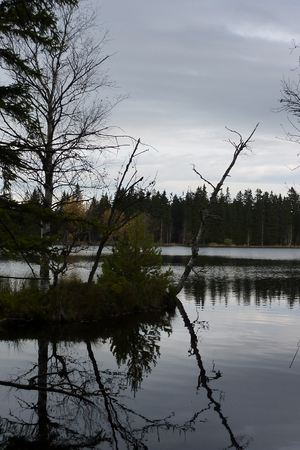 Contrast view of landscape with peat lakeの写真素材