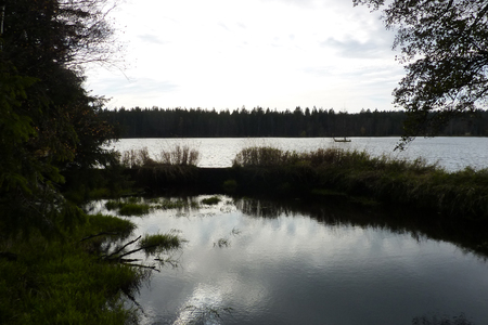 Autumn lake, peat bog, Kladskaの写真素材