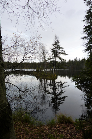 Autumn slap, mirroring in the surfaceの写真素材