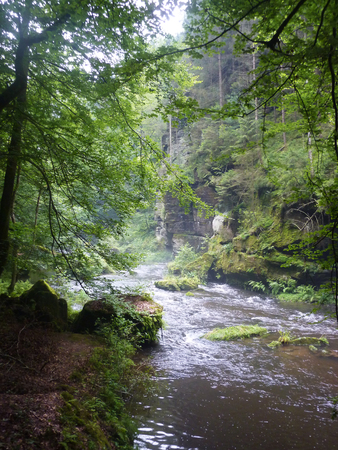 River canyonの写真素材