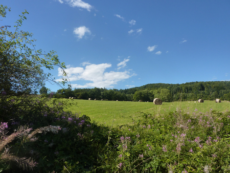 Summer meadows of the Lusatian Mountainsの写真素材