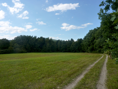 Summer path along the forestの写真素材