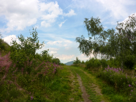 The path of the fieldの写真素材