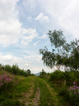The path between fieldsの写真素材