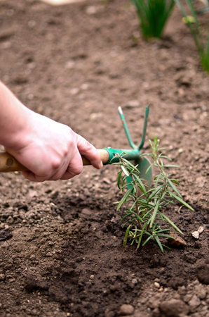 Spring work in the gardenの写真素材