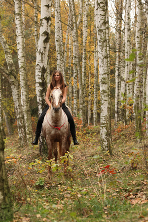 Pretty young girl riding a horse without any equipment in nice forestの写真素材