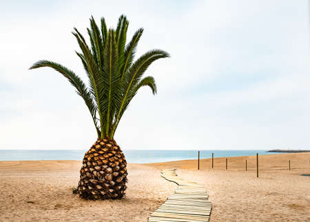Coast view in Spain background.の写真素材