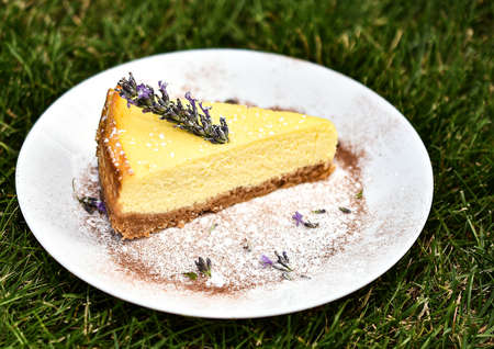 Luxury cheesecake decorated with lavender on a white plate.の写真素材