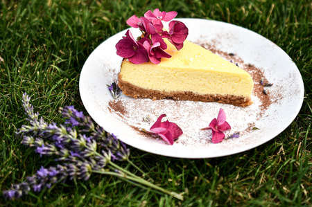 Luxurious cheescake decorated with rose flowers and lavender on the grass.の写真素材