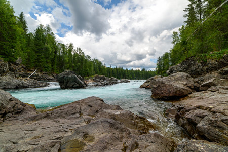 View of the turbulent water flow of the mountain river among the green forest, wildlifeの写真素材