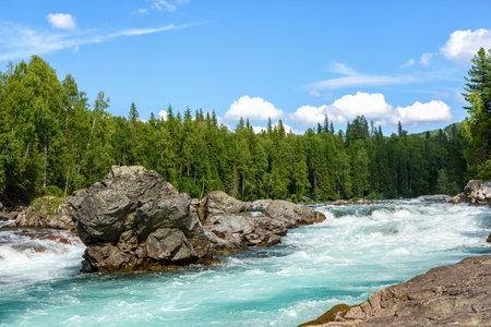 View of the turbulent water flow of the mountain river among the green forest, wildlifeの写真素材