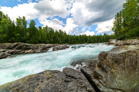 View of the turbulent water flow of the mountain river among the green forest, wildlifeの写真素材