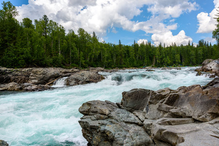 View of the turbulent water flow of the mountain river among the green forest, wildlifeの写真素材