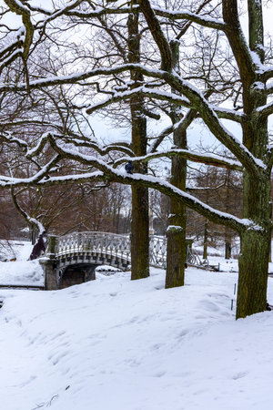 Bridges in a snow-covered winter park in Gatchina, Leningrad region, Russiaの写真素材