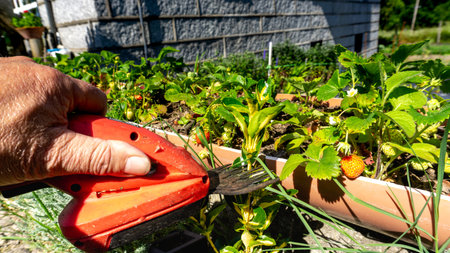 small plant cutting machine to have a beautiful garden