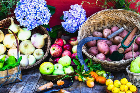 edible vegetable basketsの写真素材