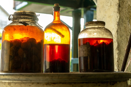 alcoholic beverages macerated in recent glass