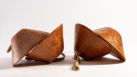 percussion instrument from the Canary Islandsの写真素材