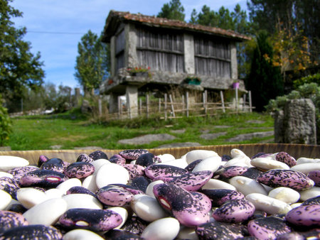 beans in the foreground of two classes some white and others pink and black on a polished stone...