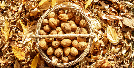 wicker basket full of nuts and surrounded by dried leaves