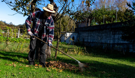 man with a rake picking up leaves that fall from a tree