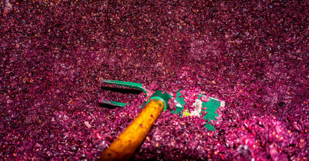 remains of grapes after fermentation with the drained wine used for the distillation of brandy