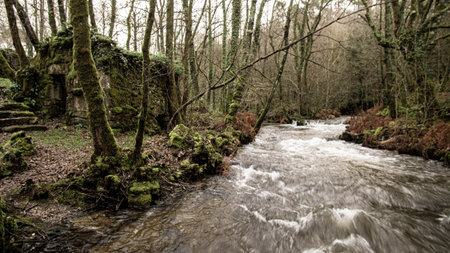 fast water in a river