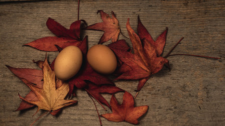 eggs and leaves