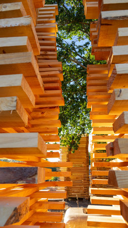 Luz between the manderaの写真素材