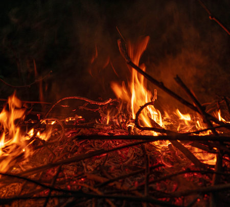Bonfire in the night