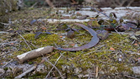 sickle on the groundの写真素材