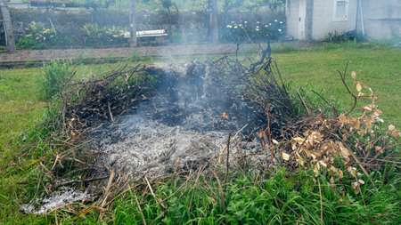 Vineyard field fireの写真素材