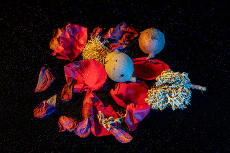 Still Life with Dramatic Light
